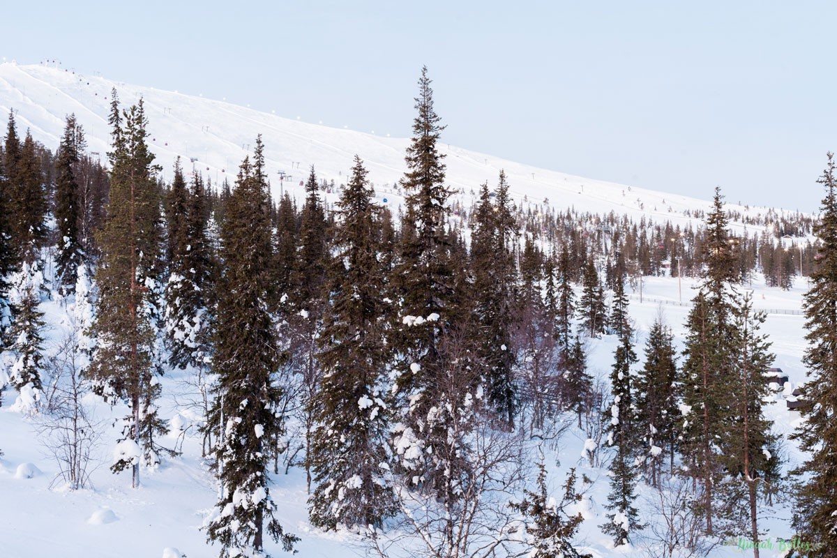 Laponie, voyage, ninaah bulles, finlande, neige, photo, paysage, voyage, blog voyage, cercle arctic, arctique, grand nord, grand froid