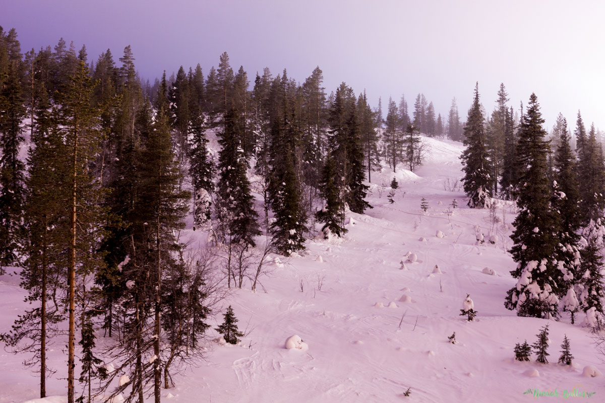 Laponie, voyage, ninaah bulles, finlande, neige, photo, paysage, voyage, blog voyage, cercle arctic, arctique, grand nord, grand froid