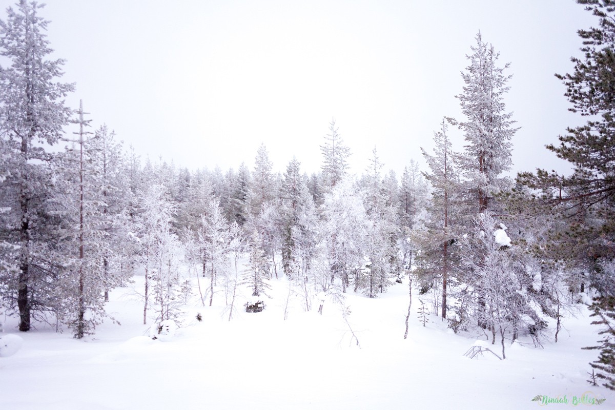 Laponie, voyage, ninaah bulles, finlande, neige, photo, paysage, voyage, blog voyage, cercle arctic, arctique, grand nord, grand froid