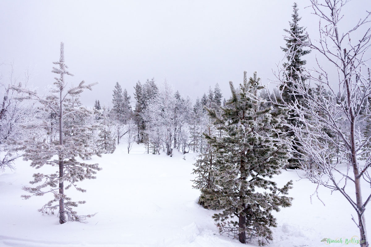 Laponie, voyage, ninaah bulles, finlande, neige, photo, paysage, voyage, blog voyage, cercle arctic, arctique, grand nord, grand froid