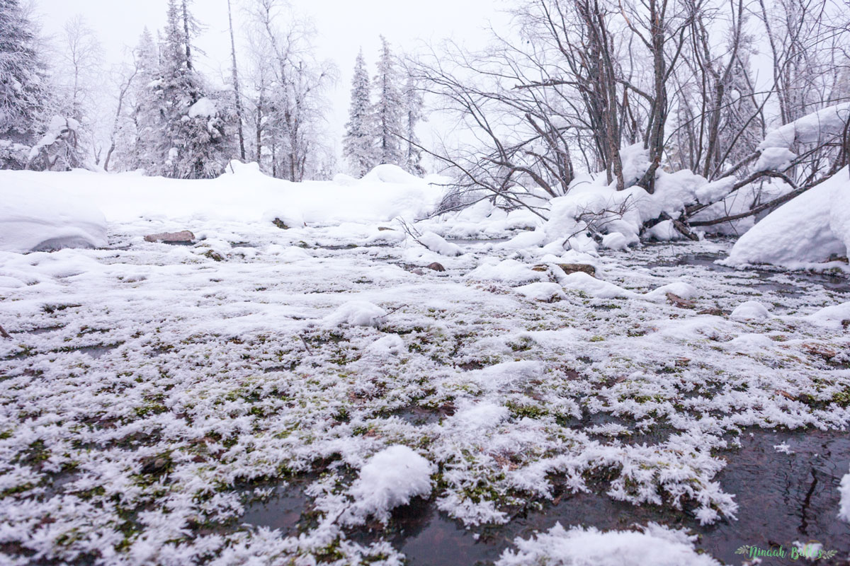 Laponie, voyage, ninaah bulles, finlande, neige, photo, paysage, voyage, blog voyage, cercle arctic, arctique, grand nord, grand froid