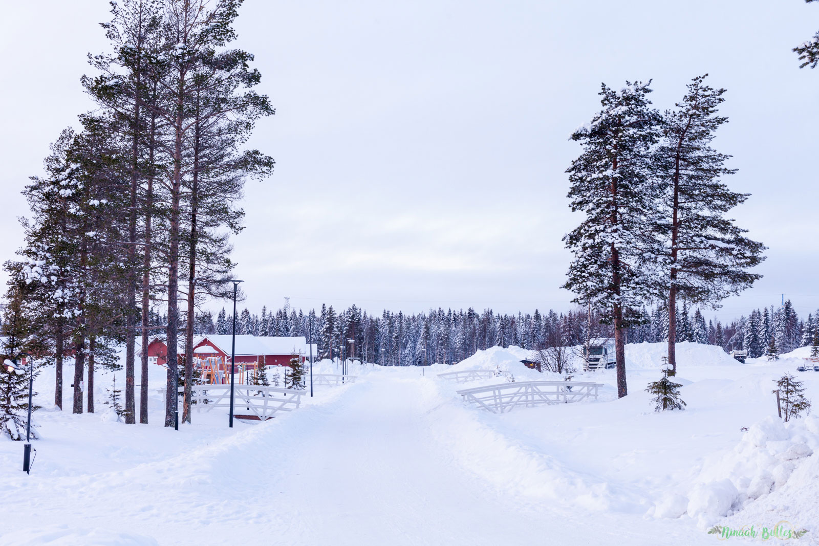Laponie, voyage, ninaah bulles, finlande, neige, photo, paysage, voyage, blog voyage, cercle arctic, arctique, grand nord, grand froid