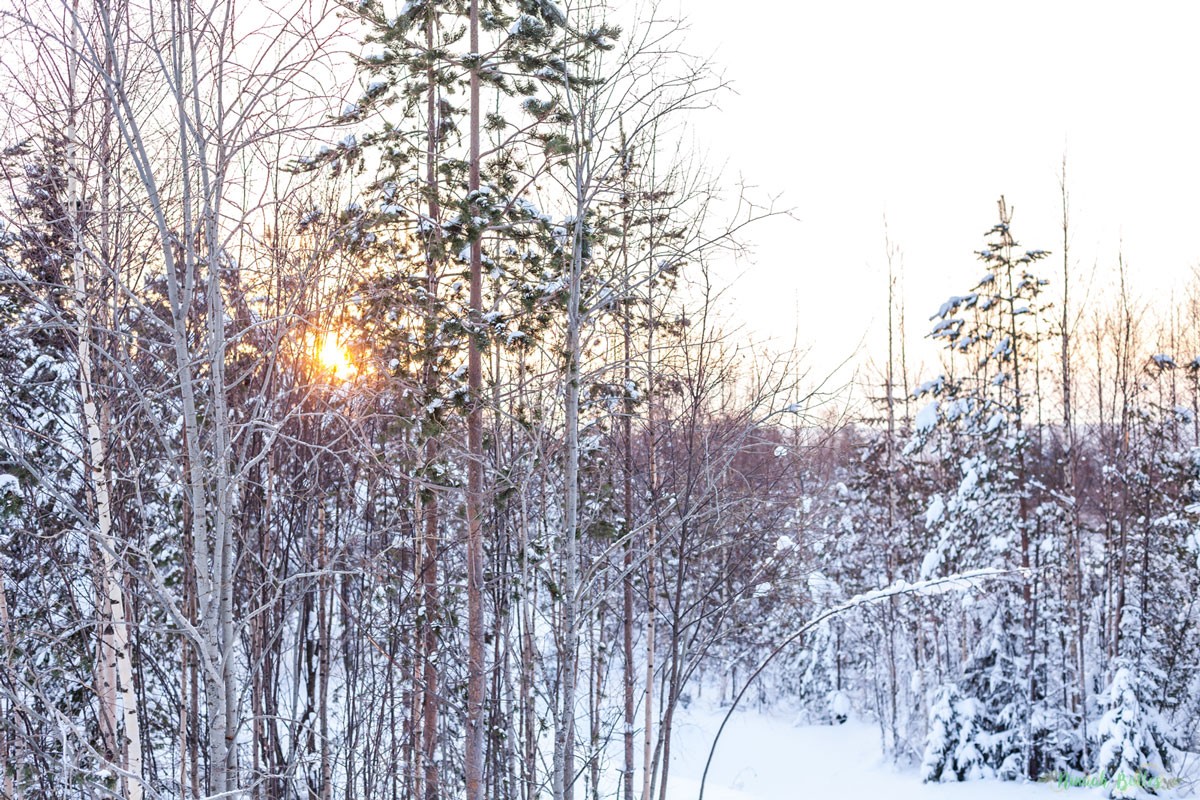 Laponie, voyage, ninaah bulles, finlande, neige, photo, paysage, voyage, blog voyage, cercle arctic, arctique, grand nord, grand froid