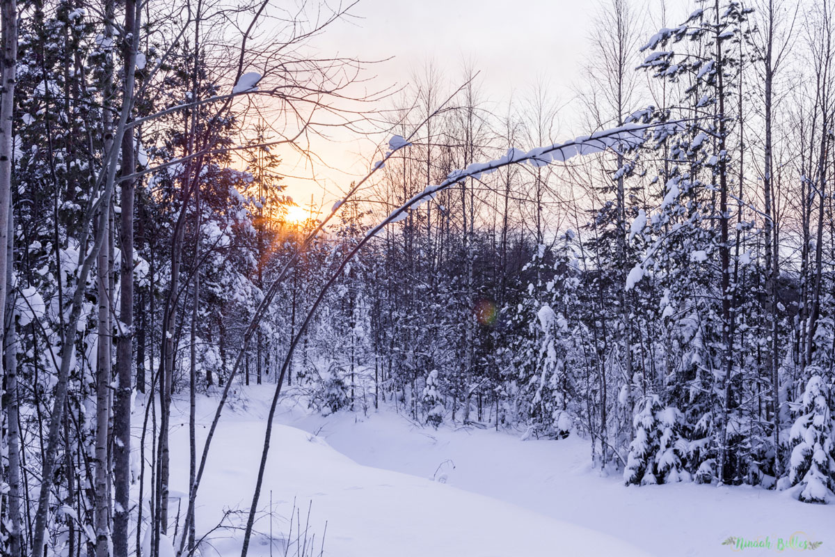 Laponie, voyage, ninaah bulles, finlande, neige, photo, paysage, voyage, blog voyage, cercle arctic, arctique, grand nord, grand froid