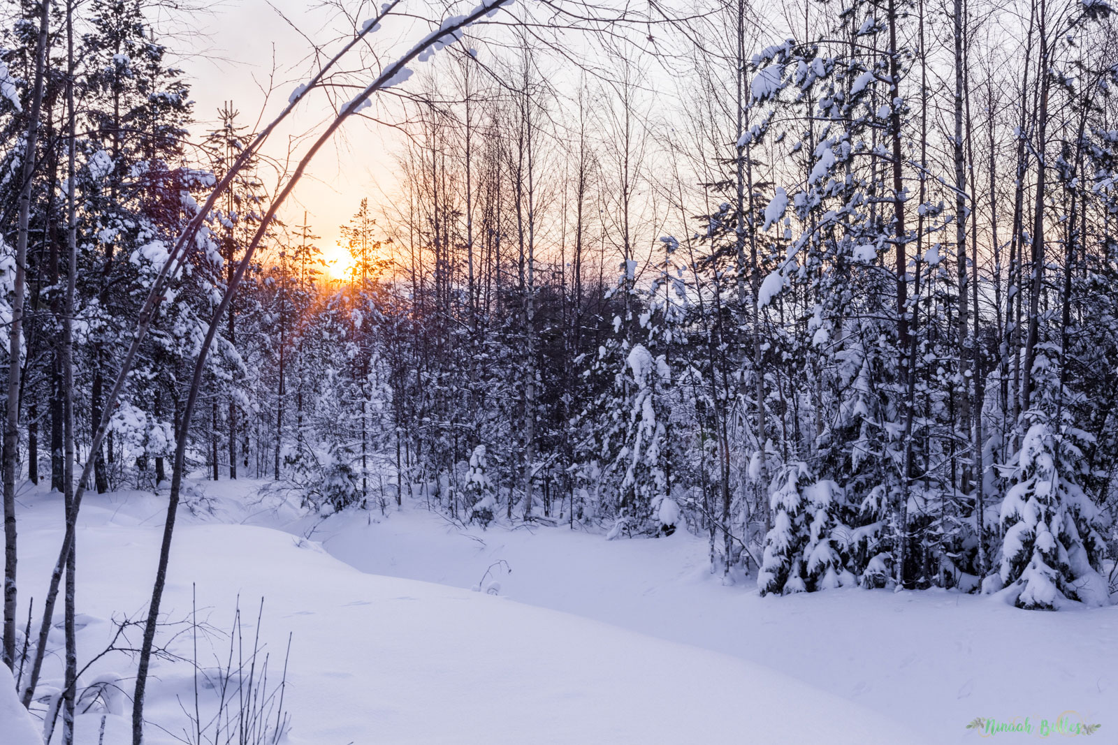 Laponie, voyage, ninaah bulles, finlande, neige, photo, paysage, voyage, blog voyage, cercle arctic, arctique, grand nord, grand froid