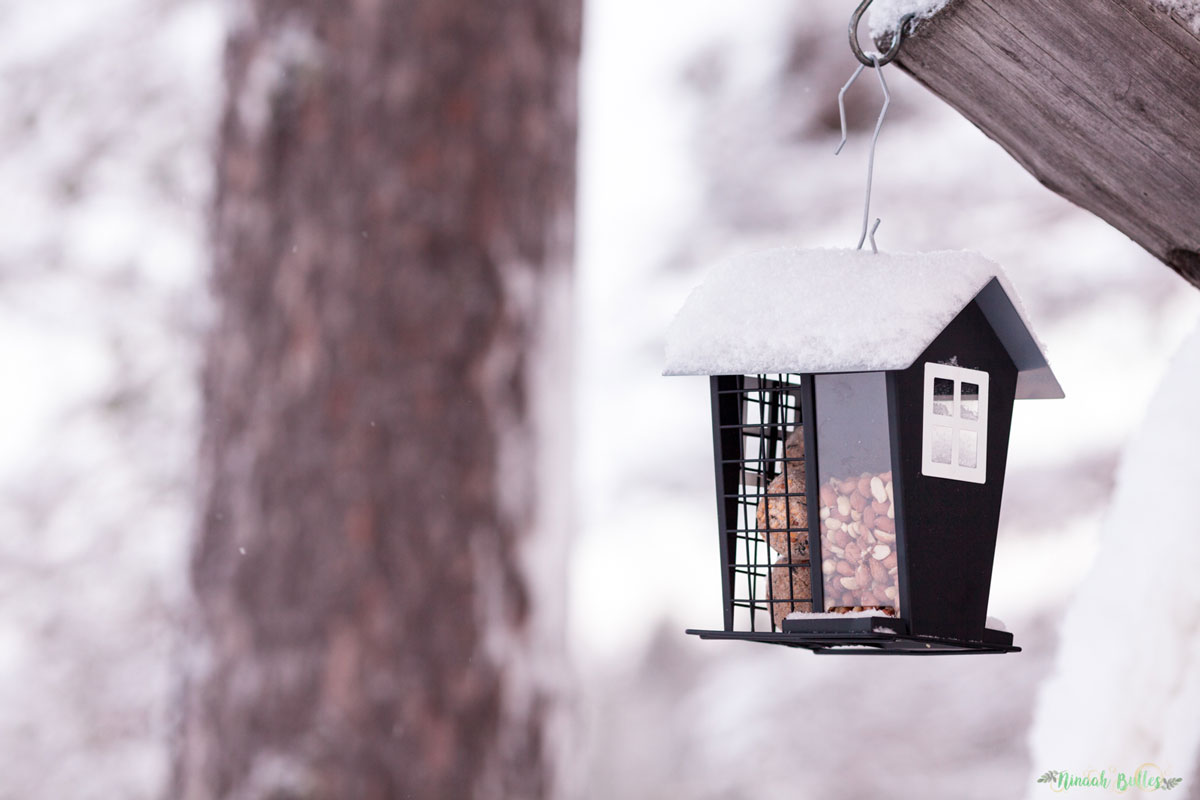 Laponie, voyage, ninaah bulles, finlande, neige, photo, paysage, voyage, blog voyage, cercle arctic, arctique, grand nord, grand froid