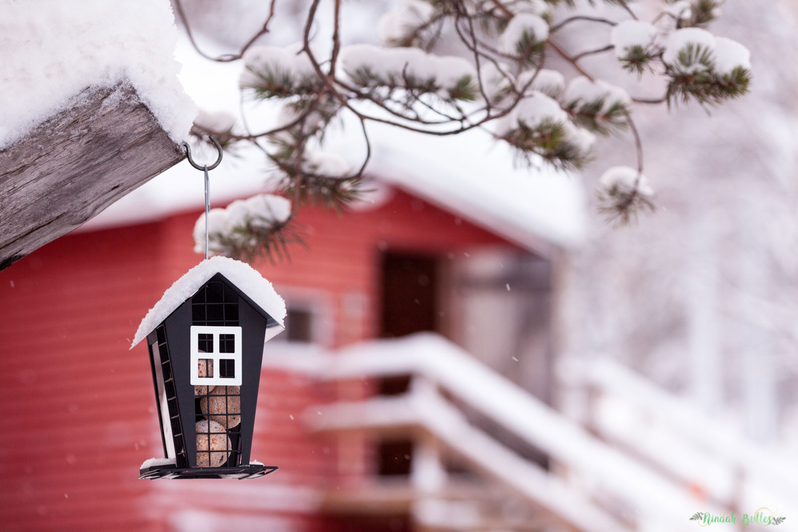 Laponie, voyage, ninaah bulles, finlande, neige, photo, paysage, voyage, blog voyage, cercle arctic, arctique, grand nord, grand froid