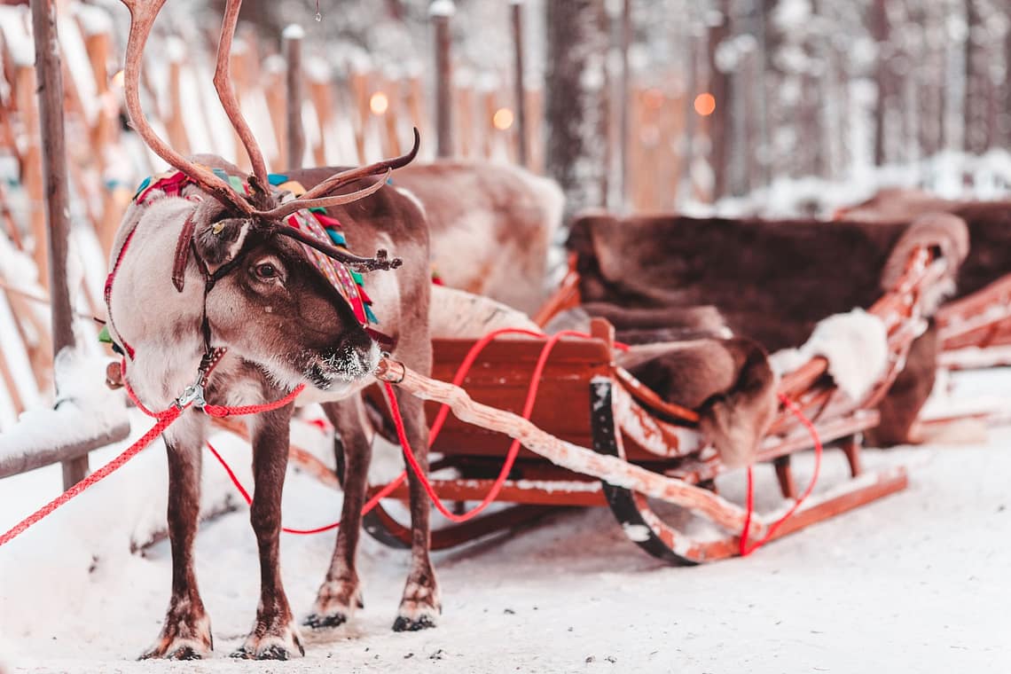 ninaah bulles, voyage, Laponie, rovaniemi, village du père noël, Finlande