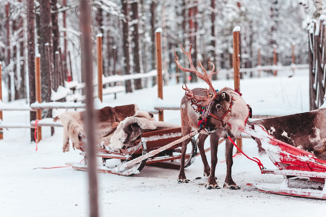 ninaah bulles, voyage, Laponie, rovaniemi, village du père noël, Finlande