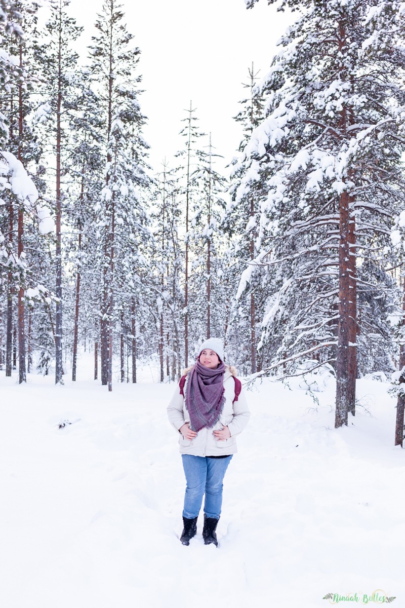 Laponie, voyage, ninaah bulles, finlande, neige, photo, paysage, voyage, blog voyage, cercle arctic, arctique, grand nord, grand froid