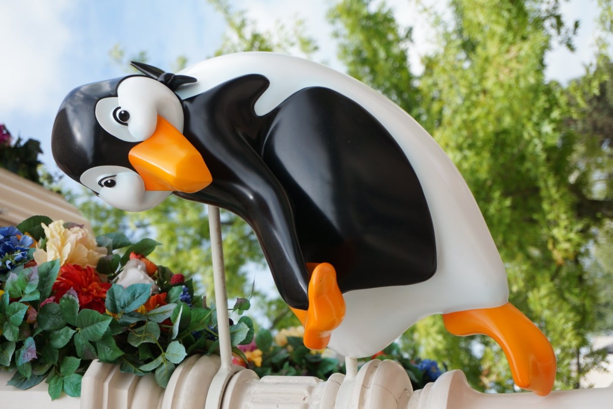 Disneyland, mode, melwenn, grande taille, ninaah bulles